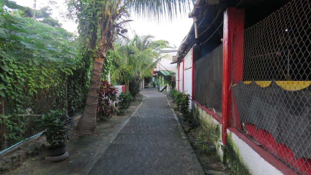 Casa de hóspedes Posada J&J Forbes - 2